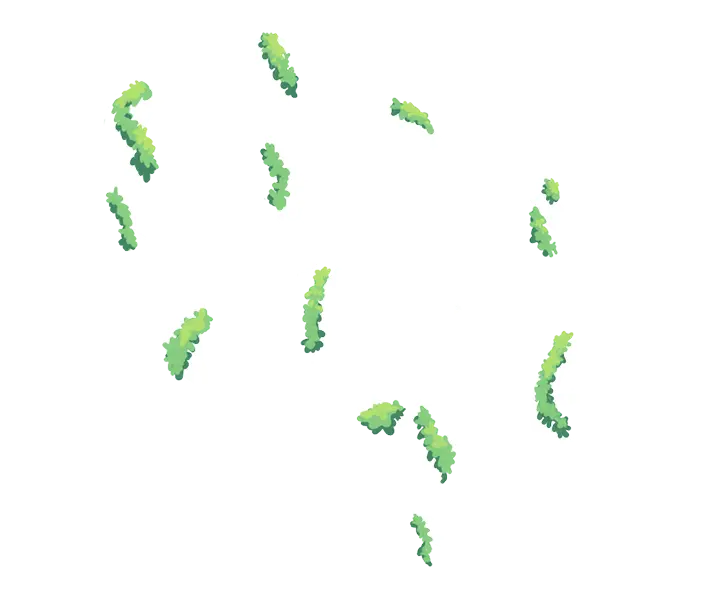 Overglade Logo